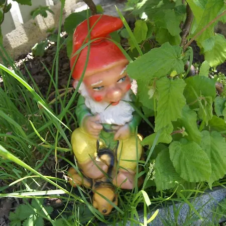 Kuen * צל אם צילר