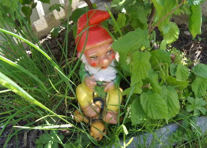 Kuen * Zell am Ziller